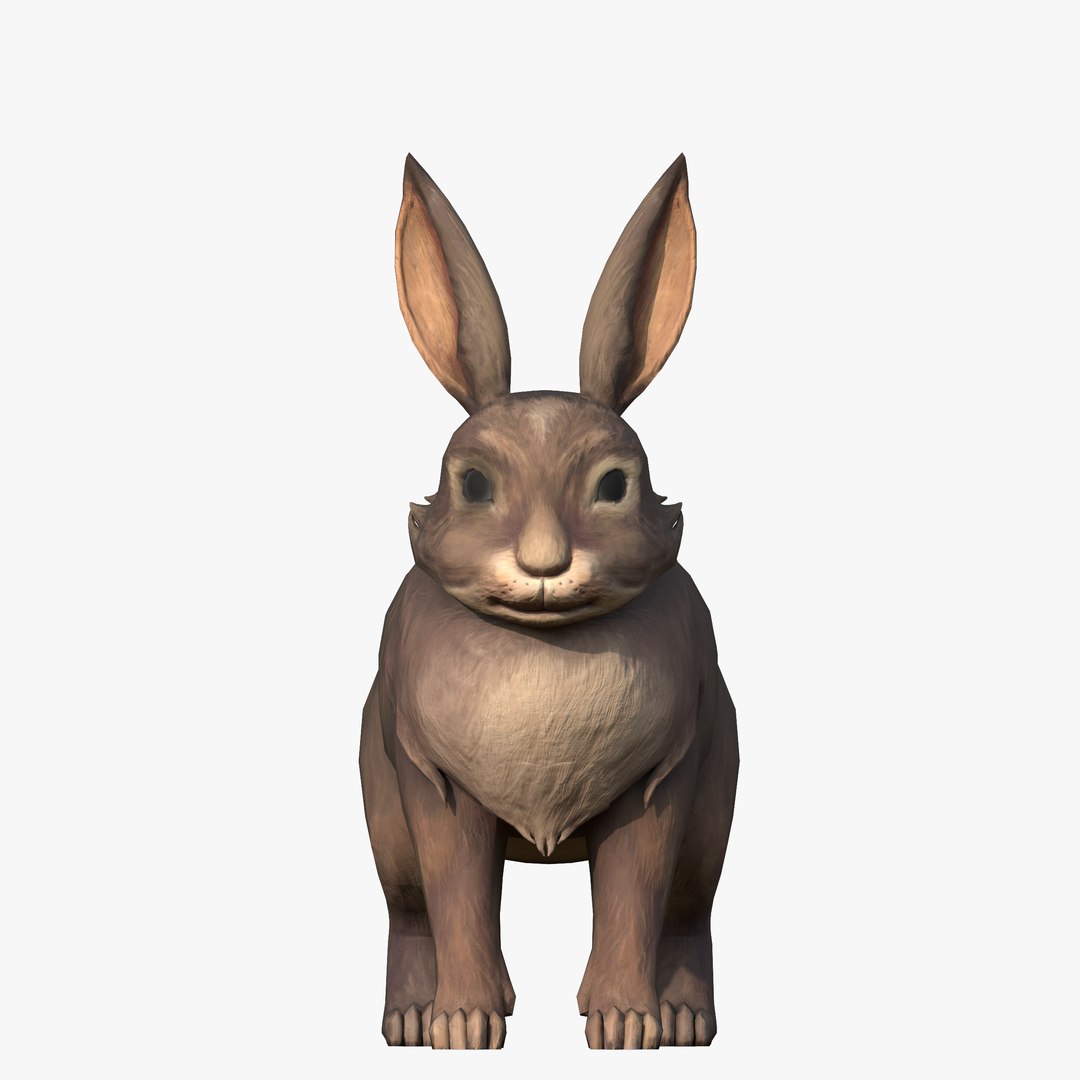 Rabbit Bunny 3D https://p.turbosquid.com/ts-thumb/Vn/ZbuST9/Qf/2/png/1744113837/1920x1080/fit_q87/05e90e0aa1a68b26010e1a7c217603497c972ee4/2.jpg