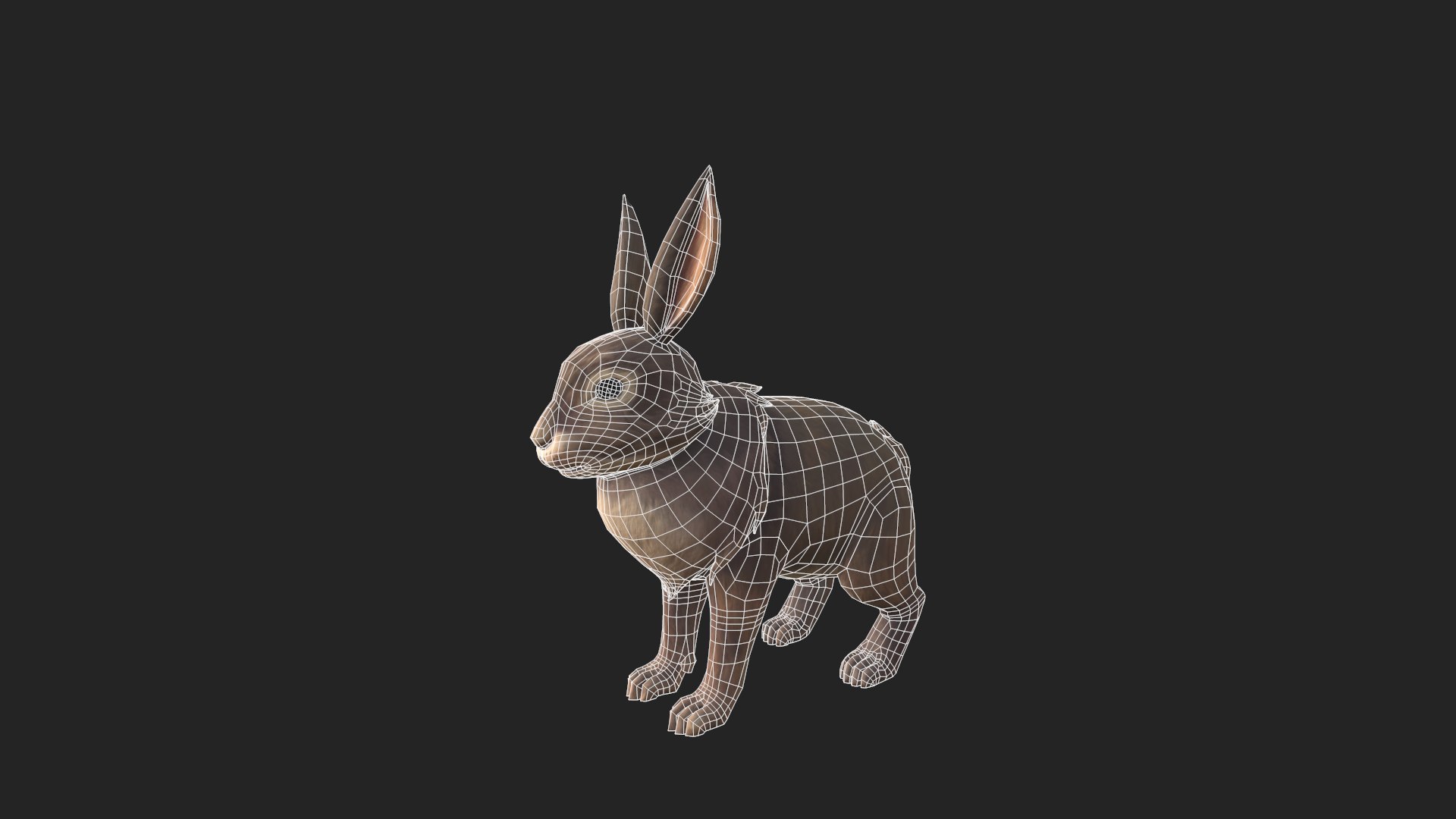 Rabbit Bunny 3D https://p.turbosquid.com/ts-thumb/Vn/ZbuST9/aF/screenshot_3/png/1744113784/1920x1080/fit_q87/ec757e67fda21f8f27ead62a345614c29190c7e8/screenshot_3.jpg