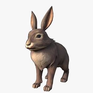 Rabbit Bunny 3D