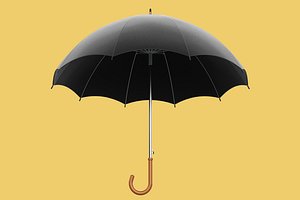 AUTO OPEN BLACK UMBRELLA FOLDABLE CLASSIC WOODEN J STICK HANDLE model