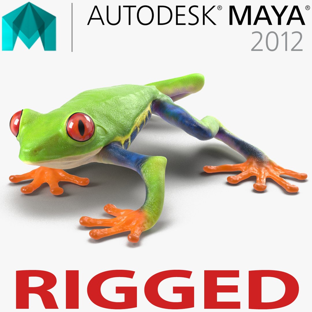 Red Eyed Tree Frog Rigged for Maya 3D model preview
