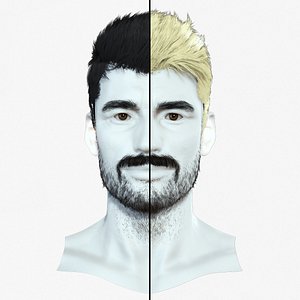 3D Next-Gen 3D Male Hairstyle with Beard  Mustache  PBR Ready