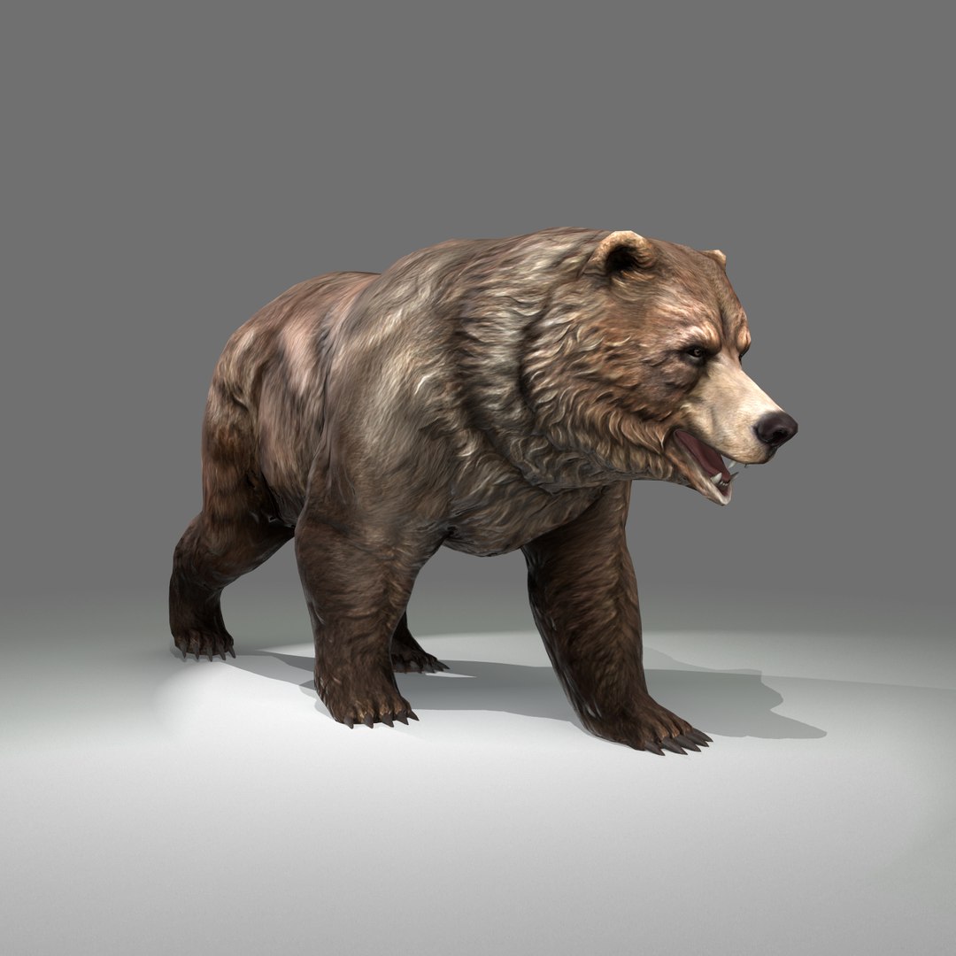 PBR Grizzly Bear - Modelling