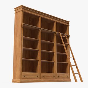 wood bookcase ladder books 3D model