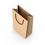 3D Paper Bag 6