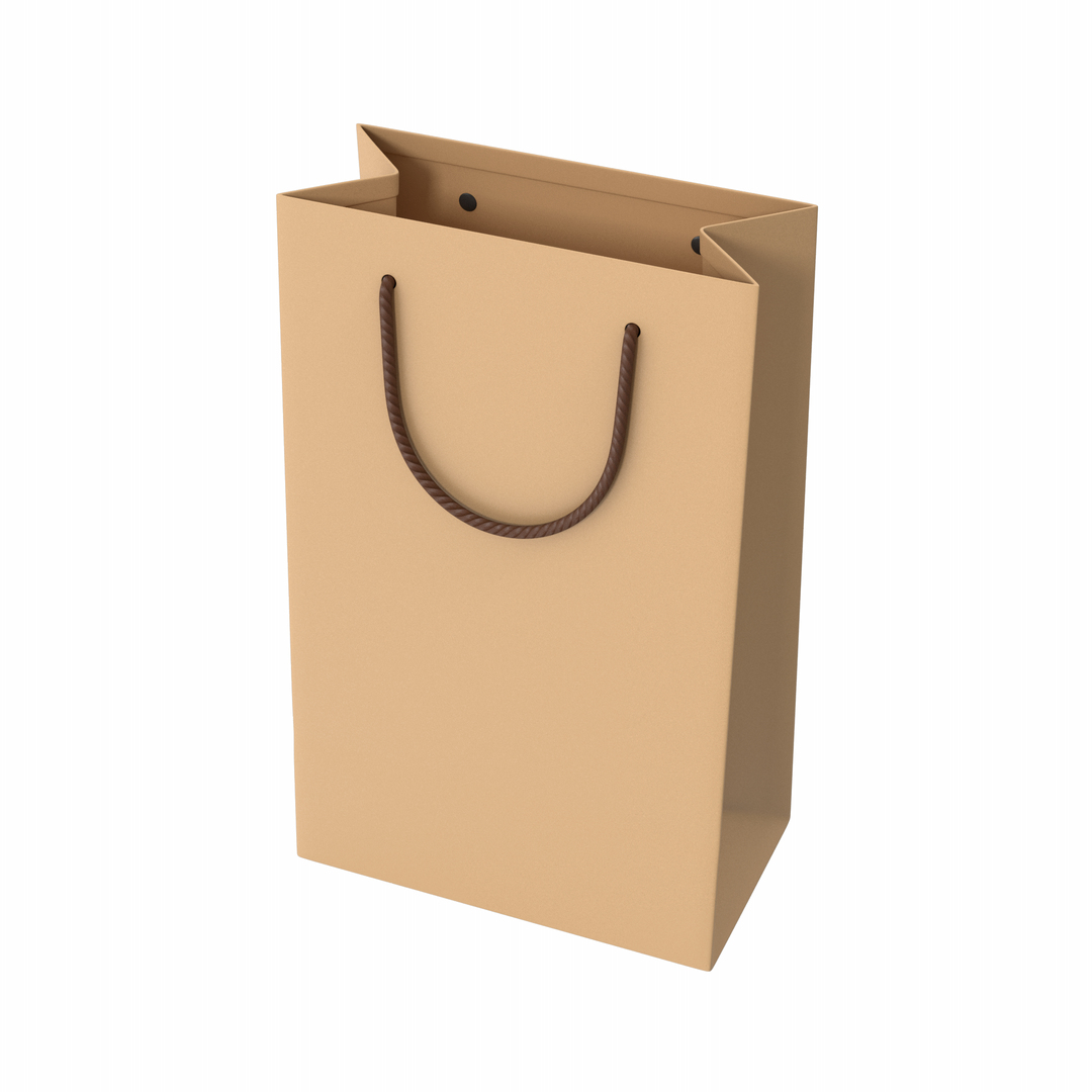 Paper Bag Mask model - TurboSquid 1724806