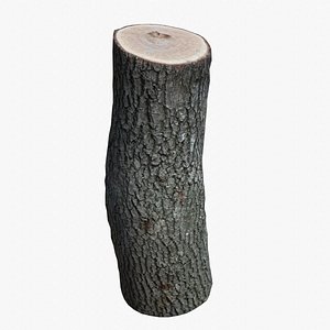 3D model Tree Log PBR Scan Retopo