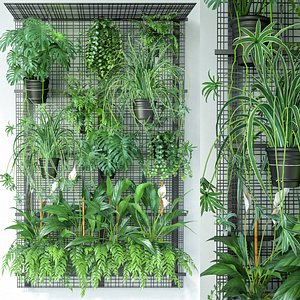 Wall Plant 1