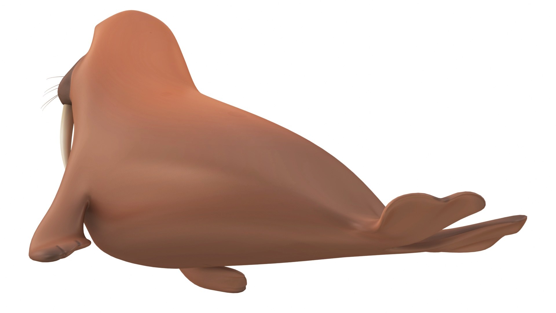 3D Carton Sea Creatures Collection 4 in 1 https://p.turbosquid.com/ts-thumb/Vo/CmEWg1/SC/cartoonwalrus4/jpg/1688926916/1920x1080/fit_q87/13738d3635e1b0aa9d329defcf3410d3ef924817/cartoonwalrus4.jpg
