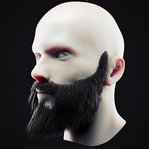 3D beard 14 model