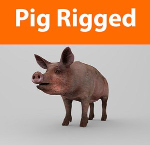 pig rigged 3d obj