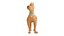 Scooby-Doo