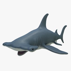 hammerhead shark 3D model