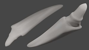 3D Dragon Tooth model