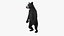 Standing Young Black Bear