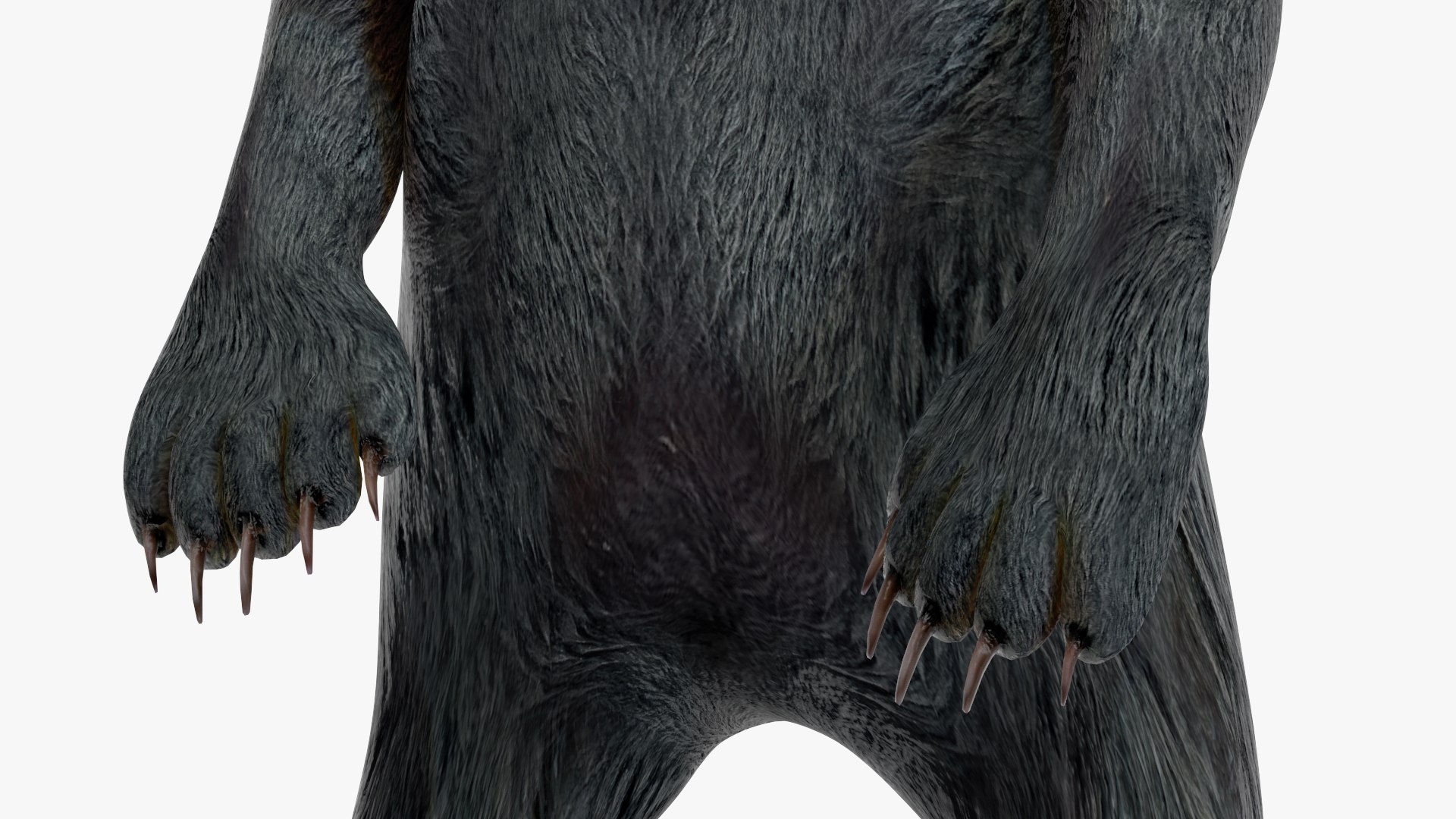 Standing Young Black Bear 3D https://p.turbosquid.com/ts-thumb/Vo/rgR2kt/43/standingyoungblackbearvray3dmodel012/jpg/1721002833/1920x1080/fit_q87/988d9d85ee399a98148e7bc882b47d428801dbb8/standingyoungblackbearvray3dmodel012.jpg