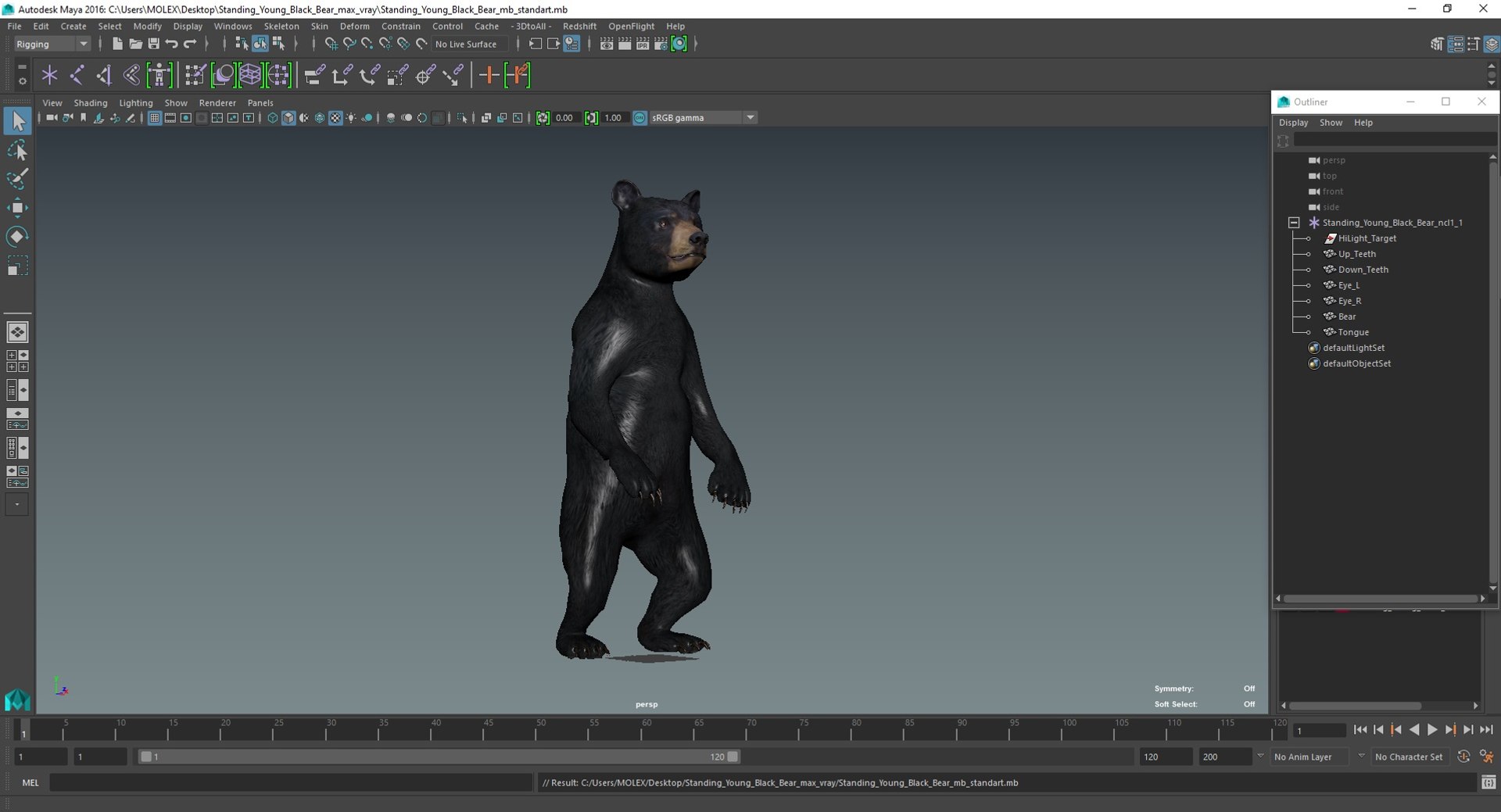 Standing Young Black Bear 3D https://p.turbosquid.com/ts-thumb/Vo/rgR2kt/KP/standingyoungblackbearvray3dmodel025/jpg/1721002880/1920x1080/fit_q87/84b97c27fb309360eebe7e4c80216ee3c1b1b203/standingyoungblackbearvray3dmodel025.jpg