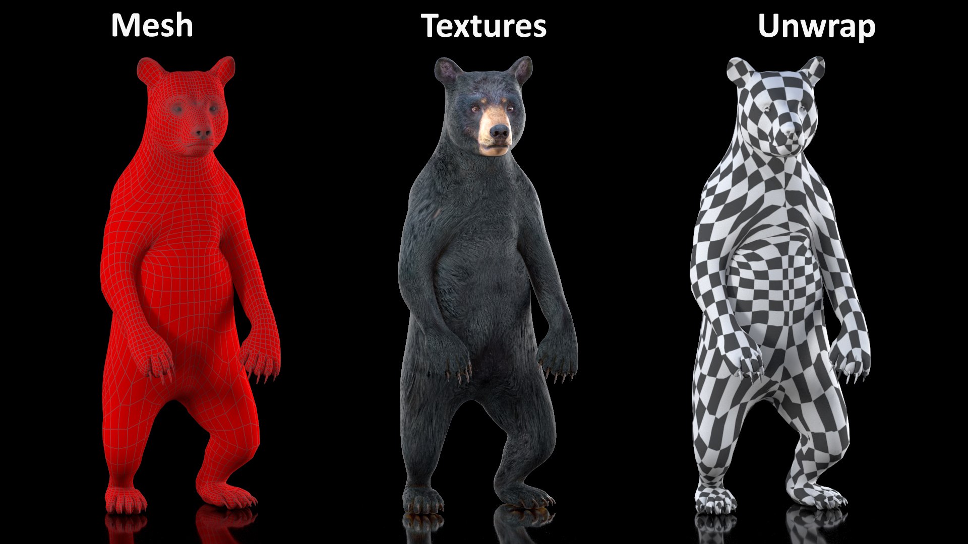 Standing Young Black Bear 3D https://p.turbosquid.com/ts-thumb/Vo/rgR2kt/WV/standingyoungblackbearvray3dmodel014/jpg/1721002840/1920x1080/fit_q87/8589be27def20ed66353a6b34f429eddd02b9d99/standingyoungblackbearvray3dmodel014.jpg