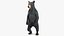 Standing Young Black Bear
