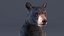 Standing Young Black Bear