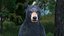 Standing Young Black Bear