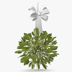 Mistletoe v 2 with White Bow 3D model