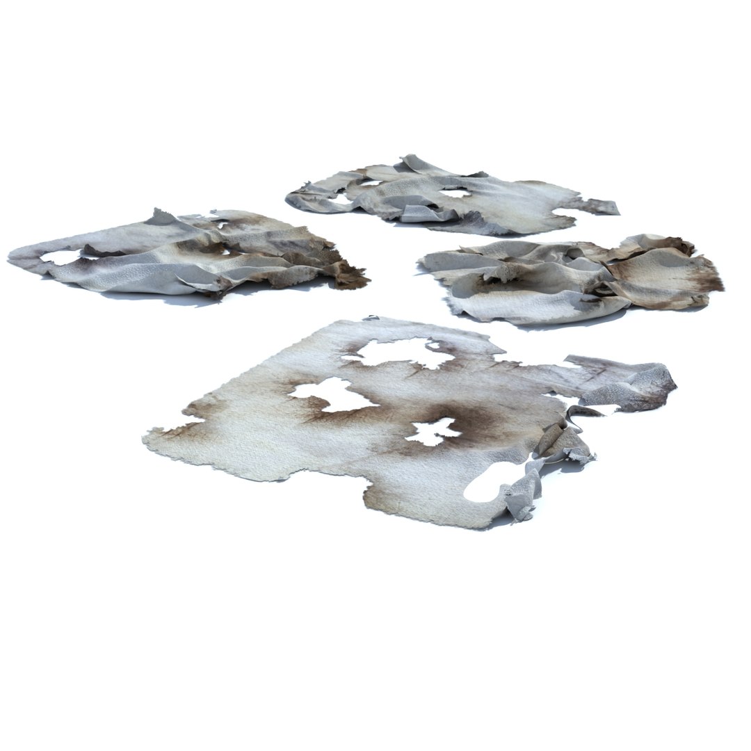 dirty rag lwo https://p.turbosquid.com/ts-thumb/Vp/82Wms0/ZfmZDemh/r9/jpg/1383343658/1920x1080/fit_q87/82a6f23280da69d5f6f1aeba5416c0a247ad69d1/r9.jpg