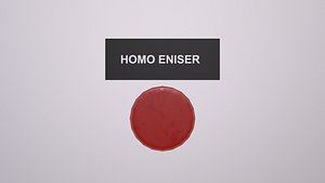 Homo Ensire Switch model