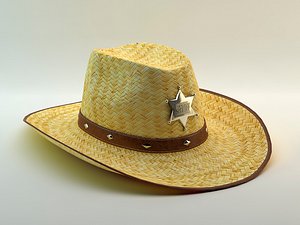 3d model of hat straw cowboy