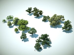 3d model trees 10