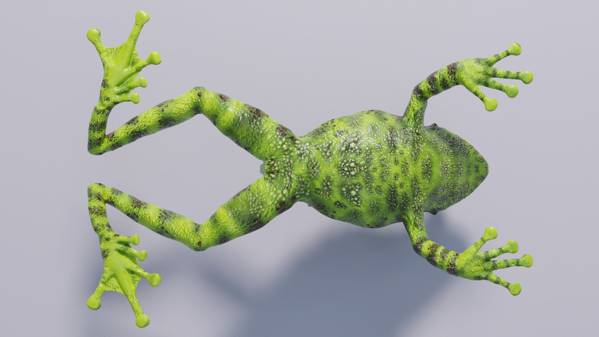 Vietnamese Mossy Frog - Rigged 3D Model - TurboSquid 2031819