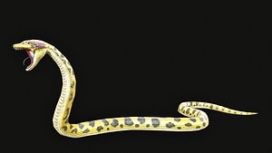 Low Poly Anaconda 3D Animal - Ready for Games 19 Animations