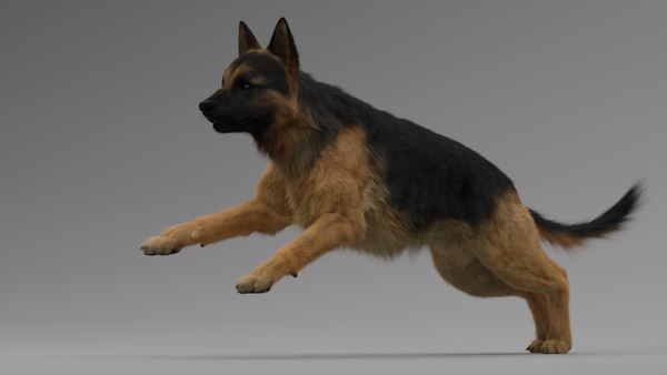 3D German Shepherd Rigged - TurboSquid 1442357