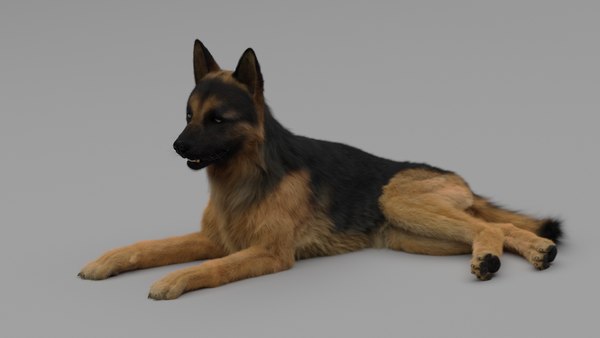 3D German Shepherd Rigged - TurboSquid 1442357