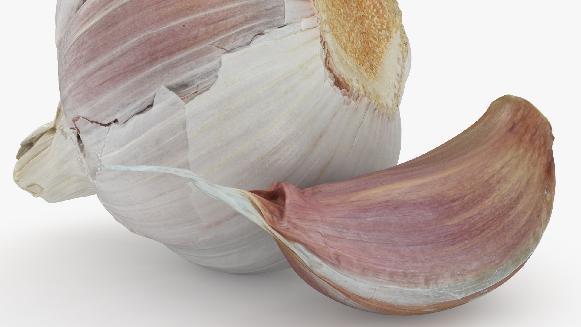 3D Garlic Pose 2 model https://p.turbosquid.com/ts-thumb/Vp/x0ehRI/4K/garlic01_b0018/jpg/1726457894/1920x1080/fit_q87/26c416be723431f8865ac0467c54e22fbb96c4f6/garlic01_b0018.jpg