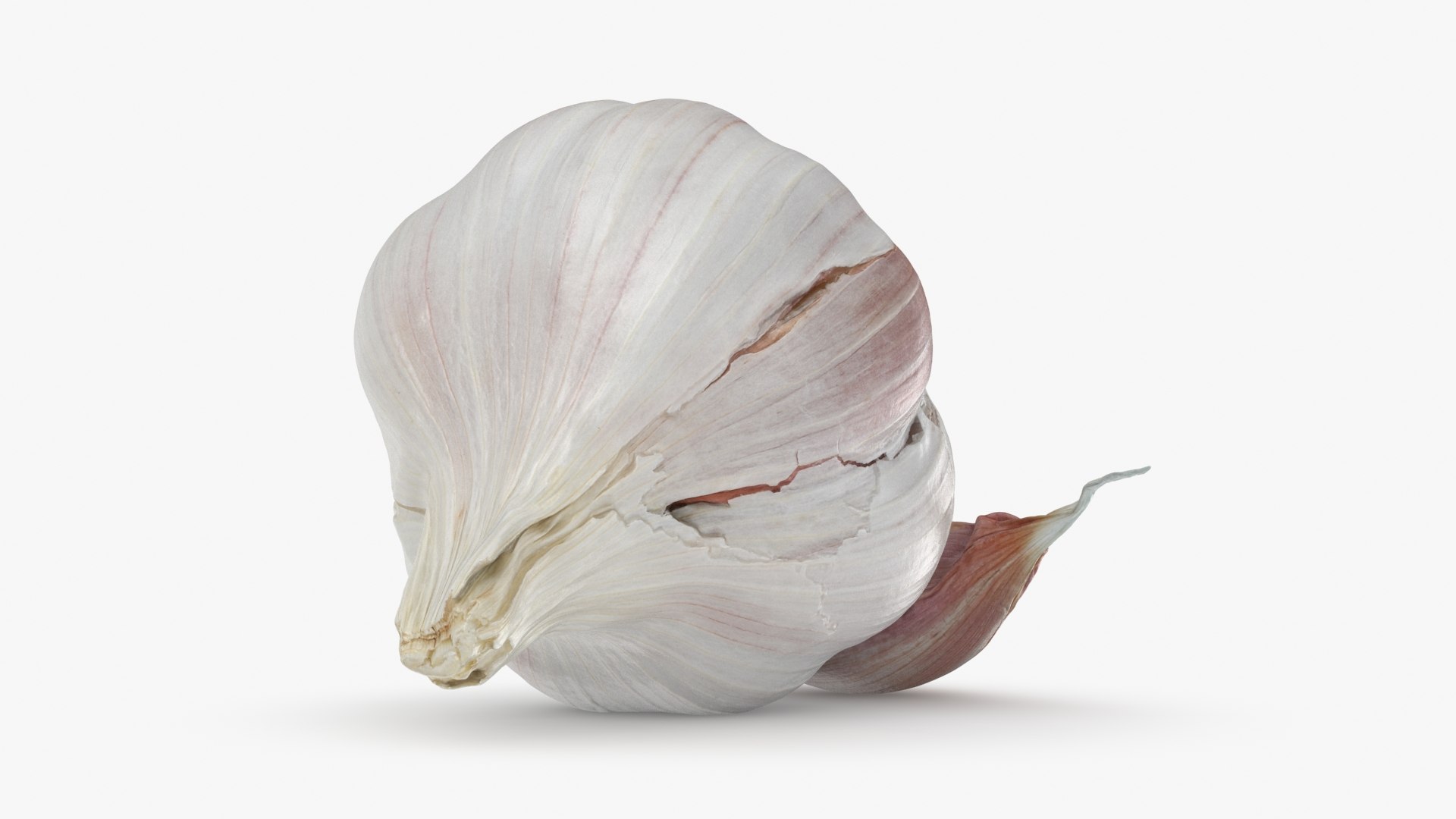 3D Garlic Pose 2 model https://p.turbosquid.com/ts-thumb/Vp/x0ehRI/4i/garlic01_b0008/jpg/1726457887/1920x1080/fit_q87/f30821a82d4e1ae42c9577ba741f5e0bc9812dfc/garlic01_b0008.jpg
