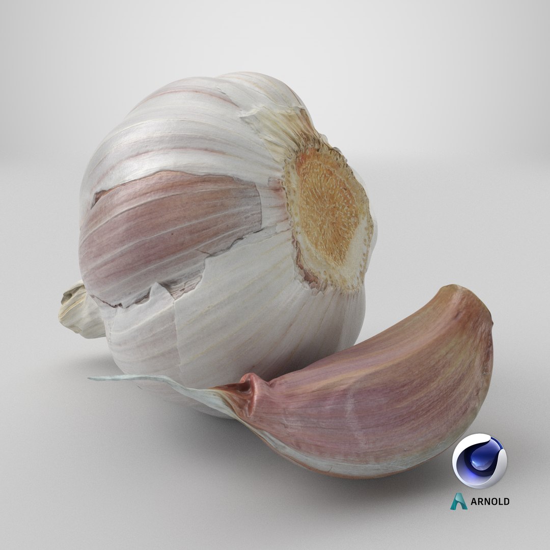3D Garlic Pose 2 model https://p.turbosquid.com/ts-thumb/Vp/x0ehRI/Do/stemcell_cinema_4d_arnold_render/png/1727443690/1920x1080/fit_q87/316b53728cd23ac17c76dfc19b177f9f5fa0e44c/stemcell_cinema_4d_arnold_render.jpg