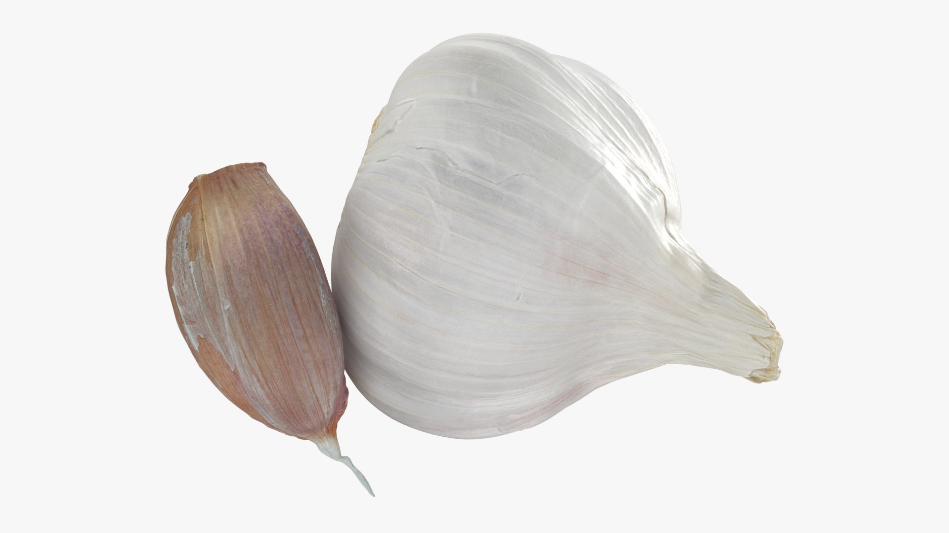3D Garlic Pose 2 model https://p.turbosquid.com/ts-thumb/Vp/x0ehRI/Fg/garlic01_b0020/jpg/1726457896/1920x1080/fit_q87/99236a1fdcb524ce7630e4780fc2542afd3731e2/garlic01_b0020.jpg