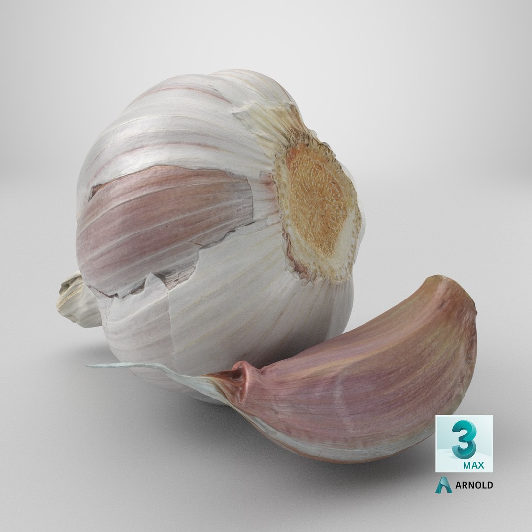 3D Garlic Pose 2 model https://p.turbosquid.com/ts-thumb/Vp/x0ehRI/Tm/stemcell_max_arnold_render/png/1727443696/1920x1080/fit_q87/12eaccc49b8da6ef438e9c859f52b98f2f733fc3/stemcell_max_arnold_render.jpg
