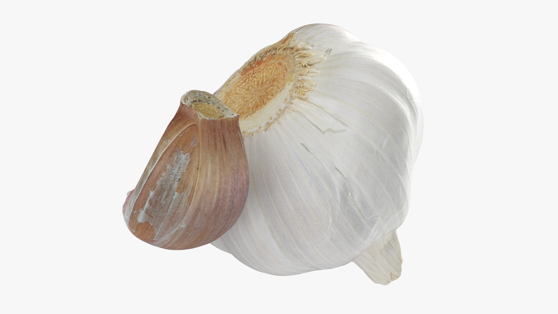 3D Garlic Pose 2 model https://p.turbosquid.com/ts-thumb/Vp/x0ehRI/W1/garlic01_b0022/jpg/1726457897/1920x1080/fit_q87/1bea0e3559acce8c3f811c0427be47fc9fd1a586/garlic01_b0022.jpg