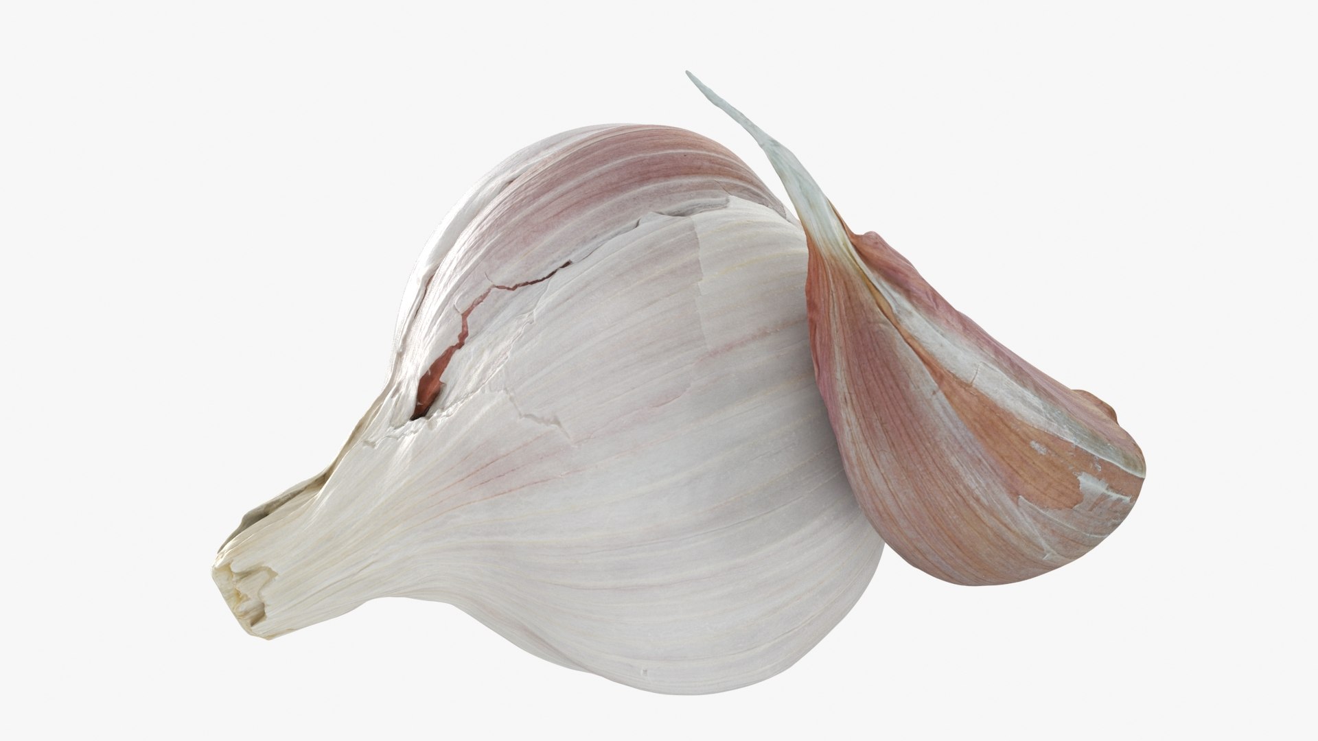 3D Garlic Pose 2 model https://p.turbosquid.com/ts-thumb/Vp/x0ehRI/ZE/garlic01_b0024/jpg/1726457899/1920x1080/fit_q87/3c2d56c78edf61f190b499864f136a3ea01eaa60/garlic01_b0024.jpg