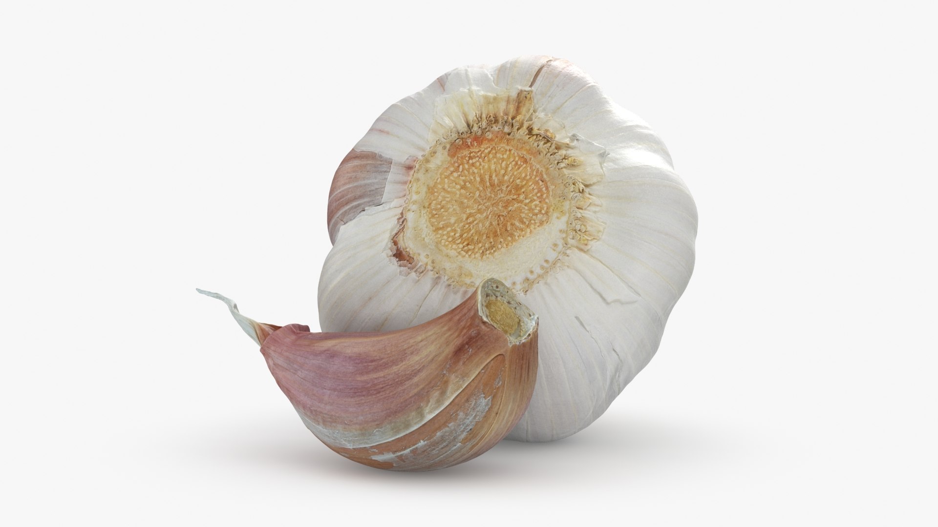3D Garlic Pose 2 model https://p.turbosquid.com/ts-thumb/Vp/x0ehRI/a0/garlic01_b0004/jpg/1726457883/1920x1080/fit_q87/3fa14173ee30ddd1e80e9459d1f6eac03df1a909/garlic01_b0004.jpg