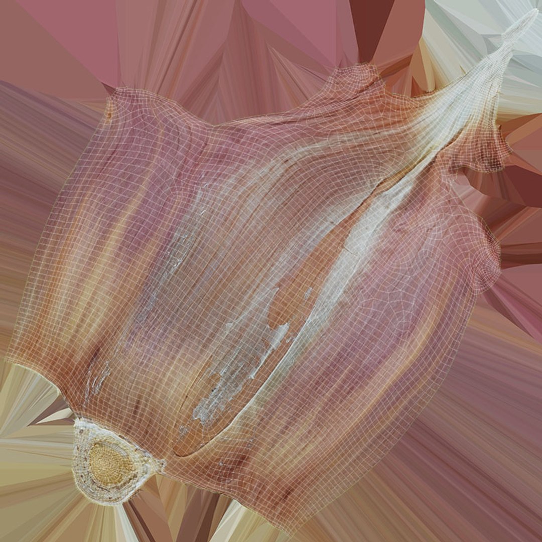 3D Garlic Pose 2 model https://p.turbosquid.com/ts-thumb/Vp/x0ehRI/jw/garlic01_d0005/jpg/1726457903/1920x1080/fit_q87/122814fe58169f219b902df5958ed7b9a05b453a/garlic01_d0005.jpg