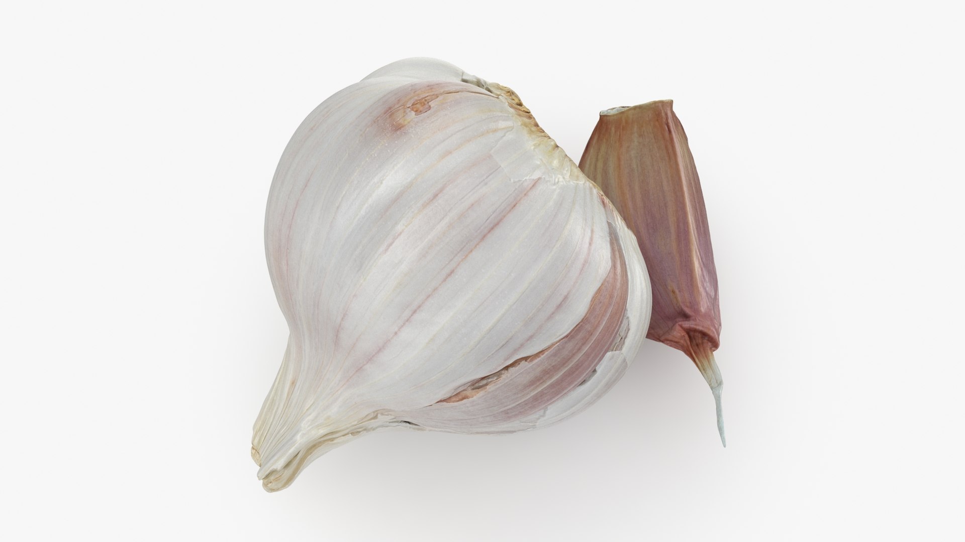 3D Garlic Pose 2 model https://p.turbosquid.com/ts-thumb/Vp/x0ehRI/m8/garlic01_b0006/jpg/1726457885/1920x1080/fit_q87/e21c11e4ab659f3a68df63423d1a2c6e6a162c6e/garlic01_b0006.jpg