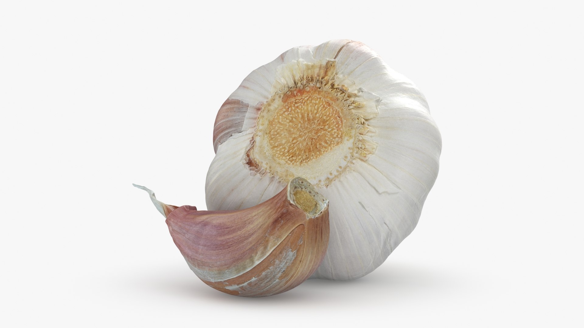 3D Garlic Pose 2 model https://p.turbosquid.com/ts-thumb/Vp/x0ehRI/uM/garlic01_b0014/jpg/1726457891/1920x1080/fit_q87/e18d9076b2d81c04079463ca6df628ec644850e7/garlic01_b0014.jpg