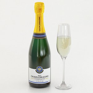 champagne glass 3d model