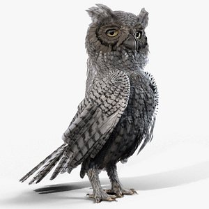 owl rigged animates 3D model