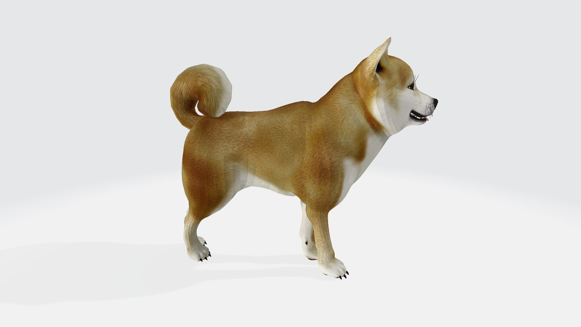 Shiba Inu Dog 3D Model - TurboSquid 1808044