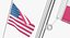 Collezione Flags 2