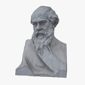 Socrate Bust